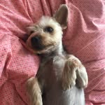 Philip Rainey - @philip.rainey - Instagram