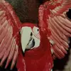 Phillip Ramirez - @phillip.ramirez6 - TikTok