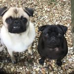 Philip Rawson - @philip.rawson - Instagram