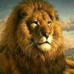 philipreddy - @philipreddy - Instagram