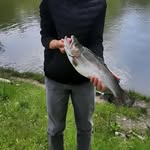 Philip Ritter - @philipritter885 - Instagram