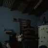 general - @philiproach217 - TikTok