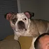 Philip Roach - @philip.kimber - TikTok