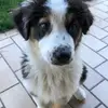 sacchettifilippo7 - @sacchettifilippo7 - TikTok