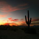 Philip Saul - @philipsaulphoto - Instagram
