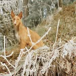 Philip Schaub - @philip_schaub - Instagram