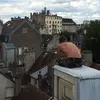 philippeschaub119 - @philippeschaub119 - TikTok