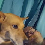 Philip Seger - @seger8918 - Instagram