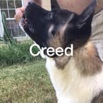 Philip Seger - @segerphilip - Instagram