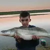 Philippe Sequeira - @philippesequeira0 - TikTok
