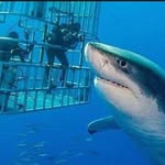 Philip Sharkey - @philip.sharkey.790 - Instagram