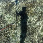 Philip Shearer - @philipshearer - Instagram