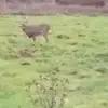 Philip Sheldon - @philip.sheldon - TikTok