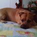 Phillip Shipp - Facebook