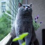 Philip SilverPinky - @philip.silverpinky - Instagram