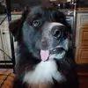 Phillip Silver - @phillip.silver - TikTok