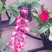 Philip Simms - Facebook
