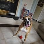 @skipper.philip - Instagram