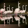 Philip Smit - @user52635250 - TikTok