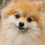 Philipe Spitz - @philipe.spitz - Instagram
