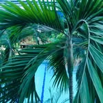 Philipp Spitzbart - @philippspitzbart - Instagram
