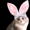 Philippe Spitz - @philippespitz - TikTok