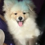 Phillip Spitz - @phillip_ospitz - Instagram