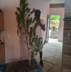 Sterling Phillip - Facebook