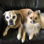Philip Thomas Stebbins - @philip.t.stebbins - Instagram