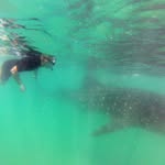 Philip Stephen - @philup4 - Instagram
