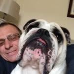 Philip Stollery - @philipstollery - Instagram