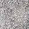 philippstoll - @philippstoll5 - TikTok