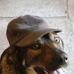 Phil Straw - Facebook