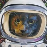 Philip Straw - @straw.philip - Instagram