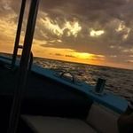 Philip Stringfellow - @philip.stringfellow.16 - Instagram