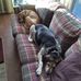 Philip Stringfellow - Facebook