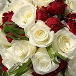 Philip Sylvester - @philipsylvester1653 - Instagram