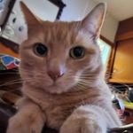 Philip Tierney - @phili.phoenix - Instagram