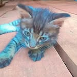 Toretto_Philips - @toretto_philips0_0 - Instagram