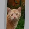 philiptsui - @philiptsui752 - TikTok