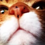 Philip Utley - @phil.utley - Instagram
