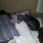 pj - @philipvenable86 - Instagram