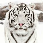 Philip Bottoms - @philip_vernon_bottoms2 - Instagram