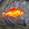 Philip Vernon - @philip.vernon5 - TikTok