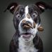 Phillip Vickers - Facebook
