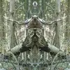 Wachowskii TV @₩$ - @filipwachowskii - TikTok