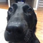 Philip Waguespack - @pjwmarketplace - Instagram