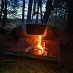 philip wallis - @manofthe_woods63 - Instagram
