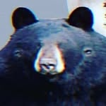 Phillip Wallis - @phillfreeze05 - Instagram