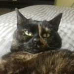 Philip Walters - @philip.walters.39566 - Instagram